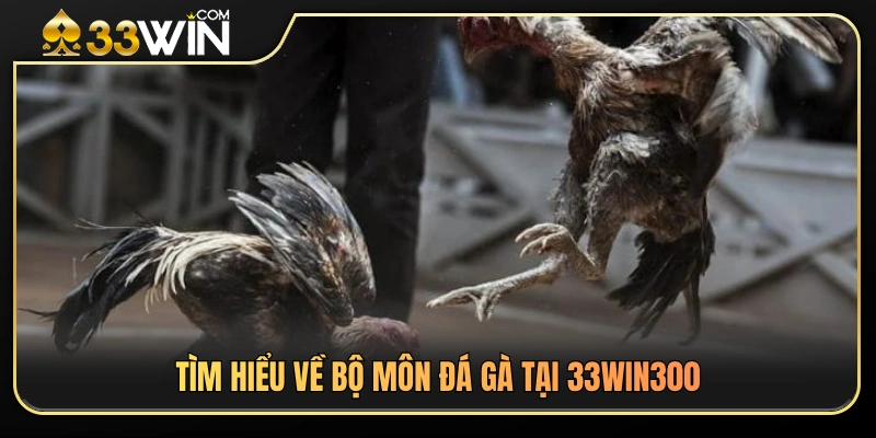 Tổng quan về hình thức đá gà được yêu thích