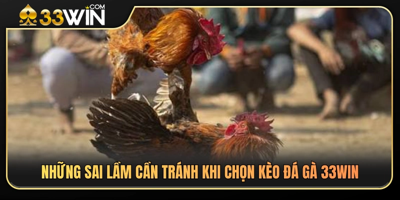 Những sai lầm thường gặp khi soi kèo đá gà